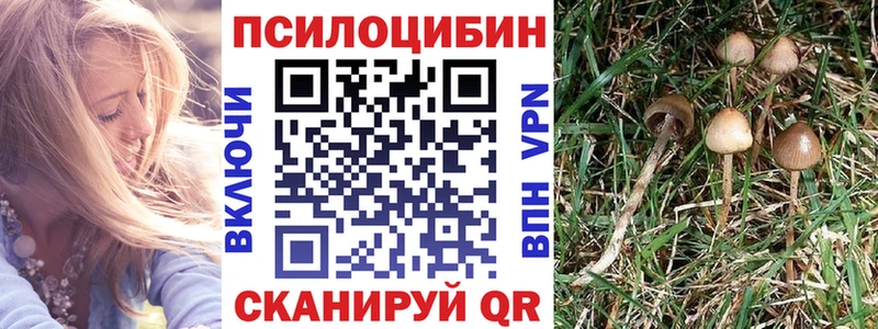 Псилоцибиновые грибы MAGIC MUSHROOMS  Чехов 
